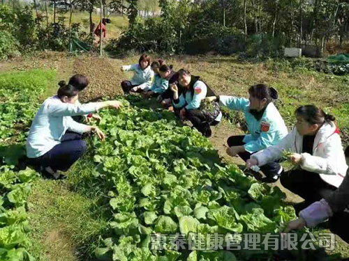 員工團建活動，自己摘菜做飯